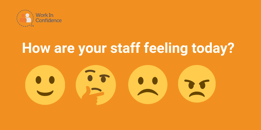 Graphic with the text "how are your staff feeling today?" and 4 emojis faces with difference expressions