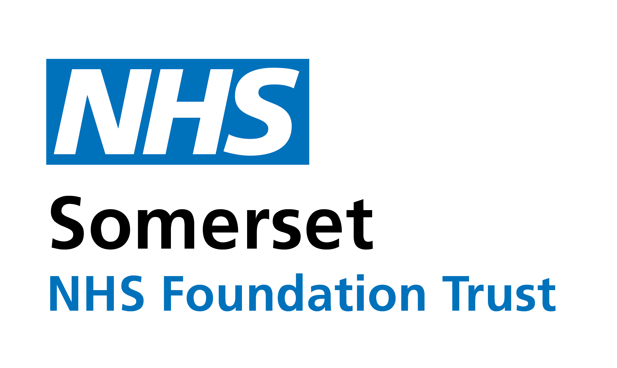 NSH Somerset NHS Foundation Trust Logo